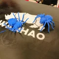 Torture Spider: torture test cho máy in 3D – overhangs, cooling, retraction, bed adhesion - Thumbnail 2
