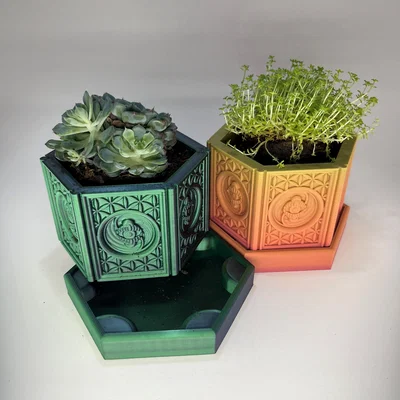 Chậu Cây Trippy Little Flower Pot