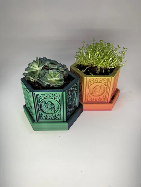 Chậu Cây Trippy Little Flower Pot - Image 2