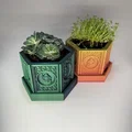 Chậu Cây Trippy Little Flower Pot - Thumbnail 2