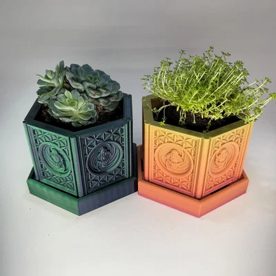 Chậu Cây Trippy Little Flower Pot