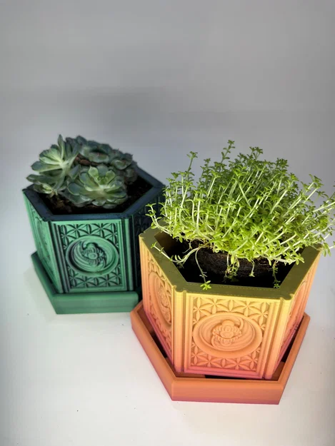 Chậu Cây Trippy Little Flower Pot - Image 4