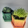 Chậu Cây Trippy Little Flower Pot - Thumbnail 4