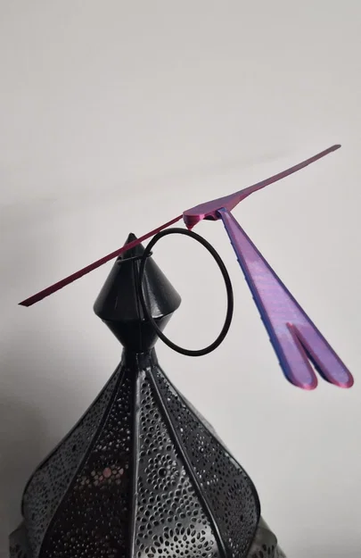 Chuồn chuồn cân bằng (Balancing dragonfly) - Image 7