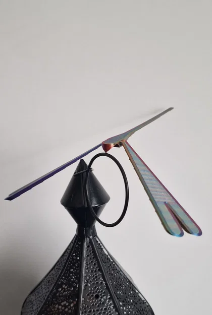 Chuồn chuồn cân bằng (Balancing dragonfly) - Image 10