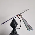 Chuồn chuồn cân bằng (Balancing dragonfly) - Thumbnail 10