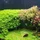 AlexP_207421
