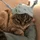 JasperDoe_1721125