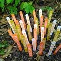 Nhãn cọc cắm rau củ phổ biến trong vườn (COMMON GARDEN VEGETABLES STAKE LABELS TAGS) - Thumbnail 2