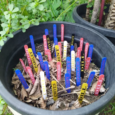 Nhãn Cắm Đất Cho Rau Thơm Phổ Biến (COMMON GARDEN HERBS STAKE LABELS TAGS)