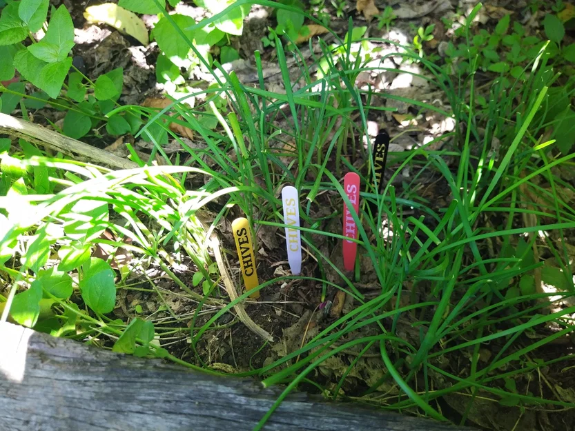 Nhãn Cắm Đất Cho Rau Thơm Phổ Biến (COMMON GARDEN HERBS STAKE LABELS TAGS) - Image 3