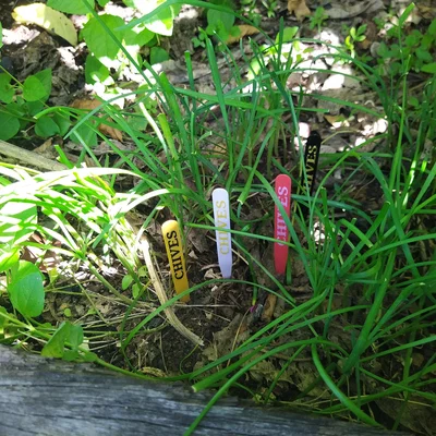 Nhãn Cắm Đất Cho Rau Thơm Phổ Biến (COMMON GARDEN HERBS STAKE LABELS TAGS)