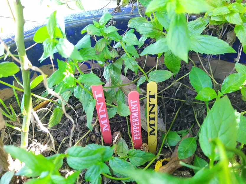 Nhãn Cắm Đất Cho Rau Thơm Phổ Biến (COMMON GARDEN HERBS STAKE LABELS TAGS) - Image 5