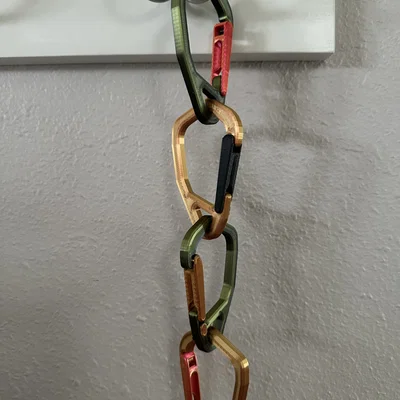 Carabiner Cỡ Vừa (Không Dùng Để Leo Trèo)