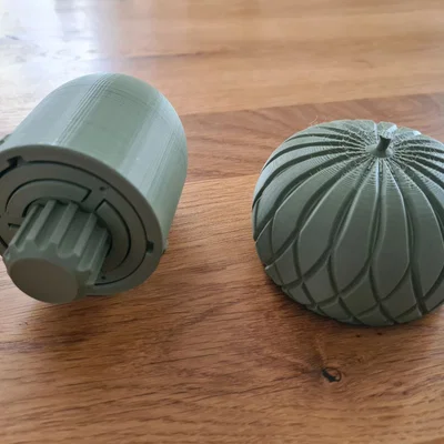 Mô hình hộp giải đố hình quả sồi (The Other Acorn Box) độc đáo
