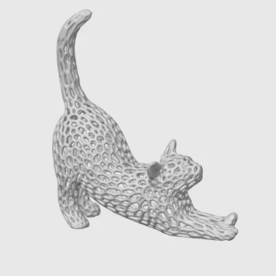Mèo Vươn Mình Voronoi (Voronoi Stretching Cat)