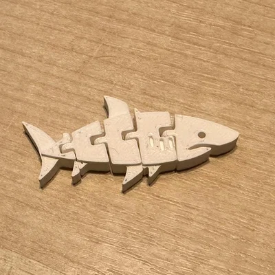 Flexi Shark – Cá mập dẻo chuyển động