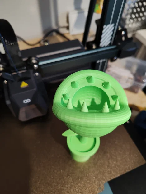 Plante mario - Image 2