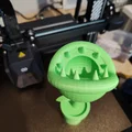 Plante mario - Thumbnail 2