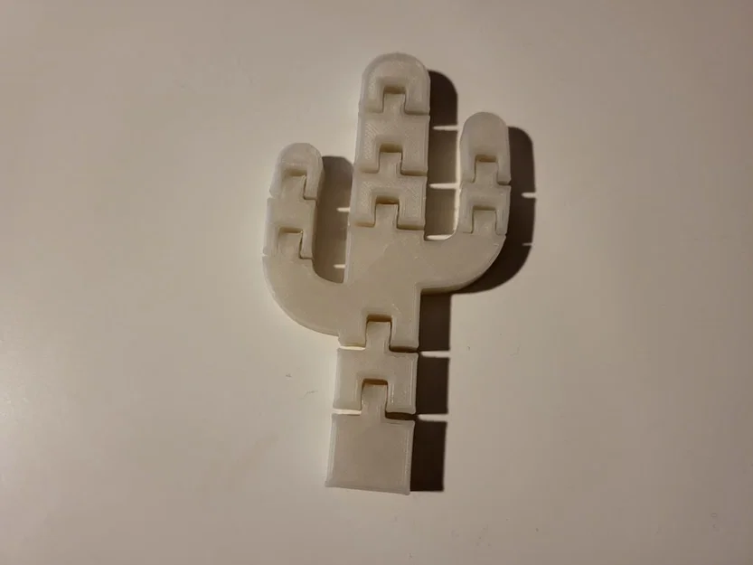 Mô hình xương rồng Flexi Cactus linh hoạt in 3D - Image 1