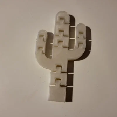 Mô hình xương rồng Flexi Cactus linh hoạt in 3D