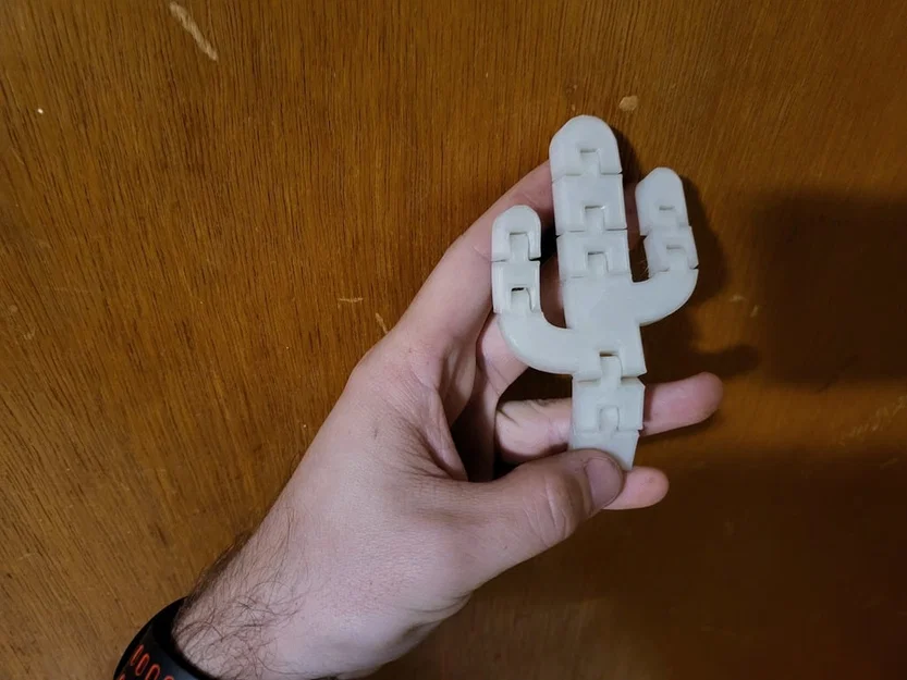 Mô hình xương rồng Flexi Cactus linh hoạt in 3D - Image 2