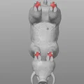 Heo rừng (Wild Boar) high-poly - Thumbnail 4