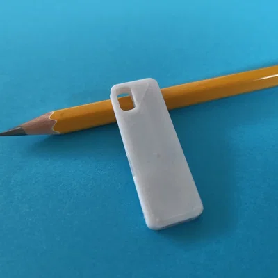 Còi bỏ túi nhỏ (small pocket whistle)
