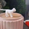 Mô hình mèo Low Poly (Low Poly Cat) in 3D cực xinh - Thumbnail 1