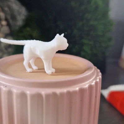 Mô hình mèo Low Poly (Low Poly Cat) in 3D cực xinh
