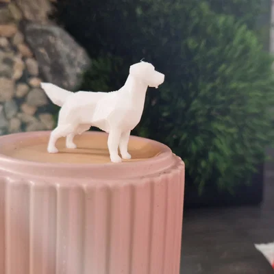 Mô hình chú chó Golden Retriever Low Poly in 3D đẹp mắt