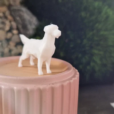 Mô hình chú chó Golden Retriever Low Poly in 3D đẹp mắt