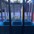Khay ươm hạt kèm mái vòm đèn (Seed starter with light dome) - Thumbnail 2