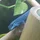 Tipito_1596892