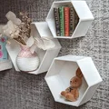 Kệ lục giác cho búp bê - tỉ lệ 1:6 - Thumbnail 1