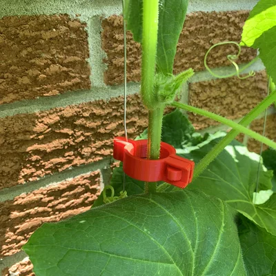 Kẹp làm vườn (Gardening clip)