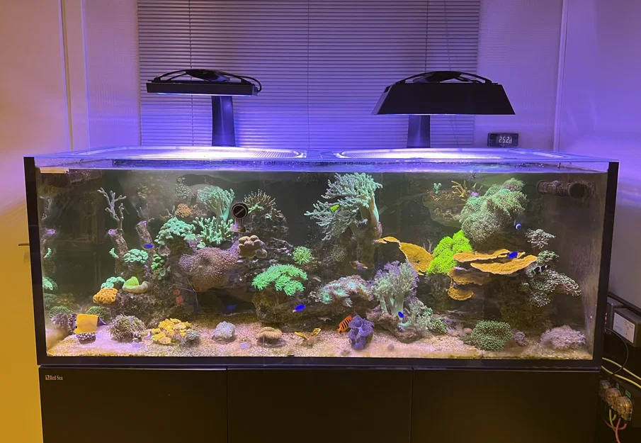 Chụp chắn sáng XR30 G6/G5 Ecotech Radion (XR30 G6/G5 Ecotech Radion Light Shade) - Image 1