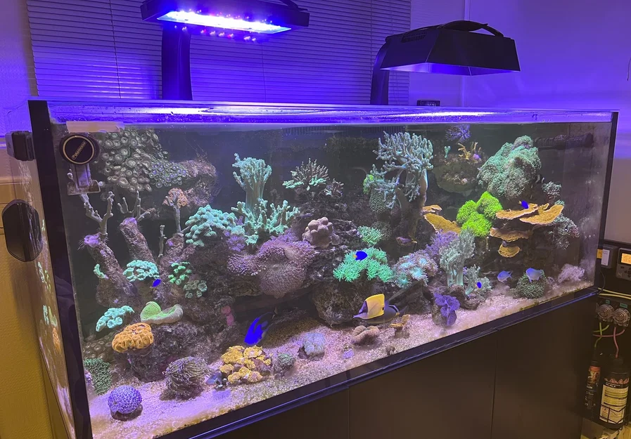 Chụp chắn sáng XR30 G6/G5 Ecotech Radion (XR30 G6/G5 Ecotech Radion Light Shade) - Image 2