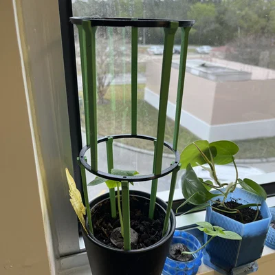 Giá đỡ cây xếp chồng (Stackable Plant Support)
