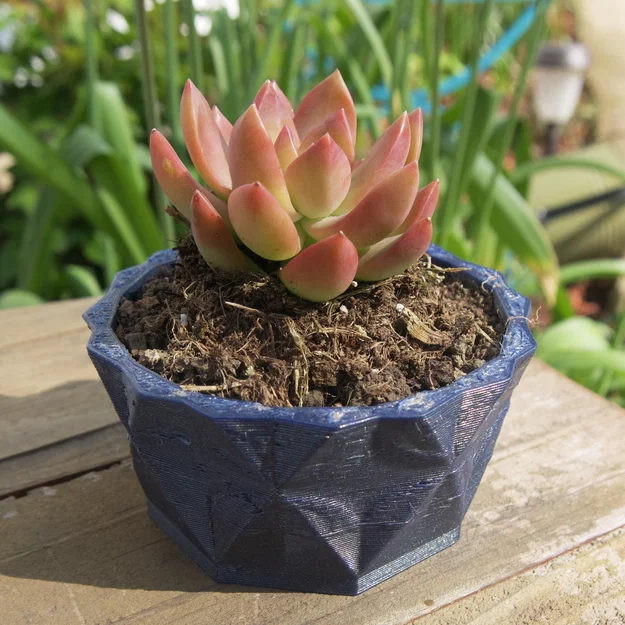 Chậu Trồng Cây Làm Vườn (Gardening pots) - Image 5