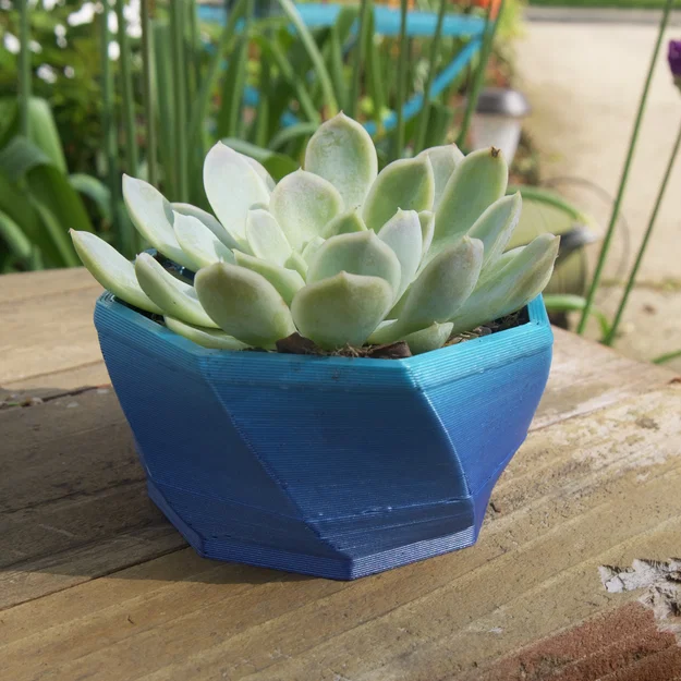 Chậu Trồng Cây Làm Vườn (Gardening pots) - Image 6