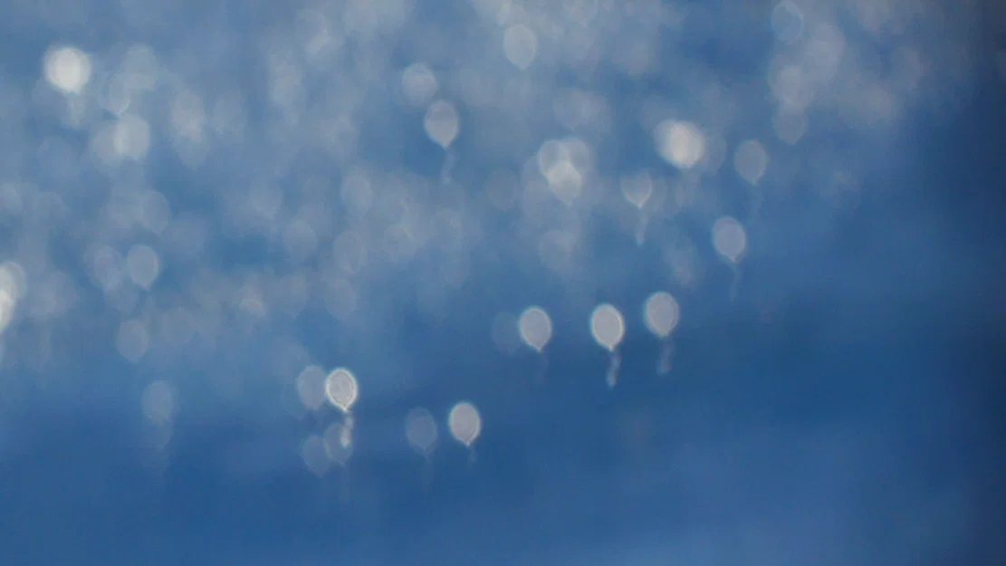 Bộ bokeh lens filter (gắn vừa lên lens 58mm) - Image 4