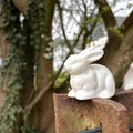 Thỏ Phục Sinh realist (Realistic Easter Bunny) - Thumbnail 1