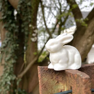 Thỏ Phục Sinh realist (Realistic Easter Bunny)