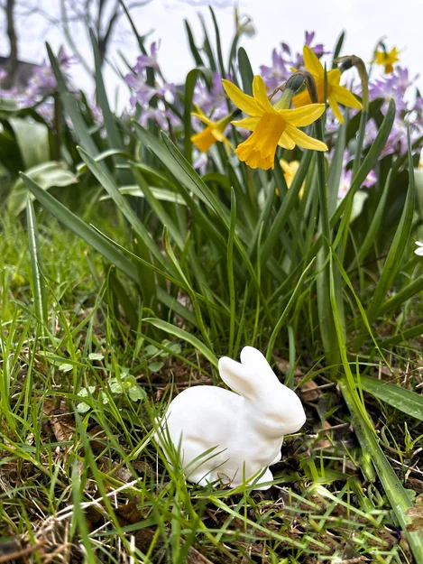 Thỏ Phục Sinh realist (Realistic Easter Bunny) - Image 3
