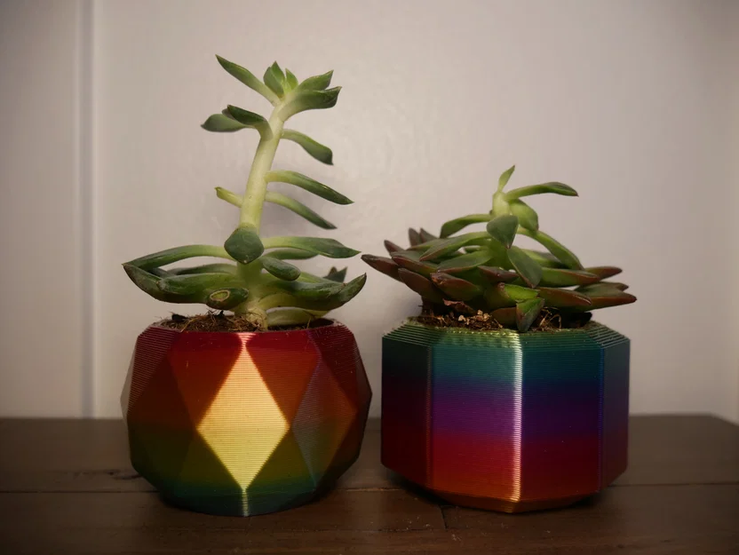 Chậu Succulent (Succulent Pots) – 3 mẫu thiết kế đơn giản - Image 1