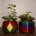 Chậu Succulent (Succulent Pots) – 3 mẫu thiết kế đơn giản - Thumbnail 1