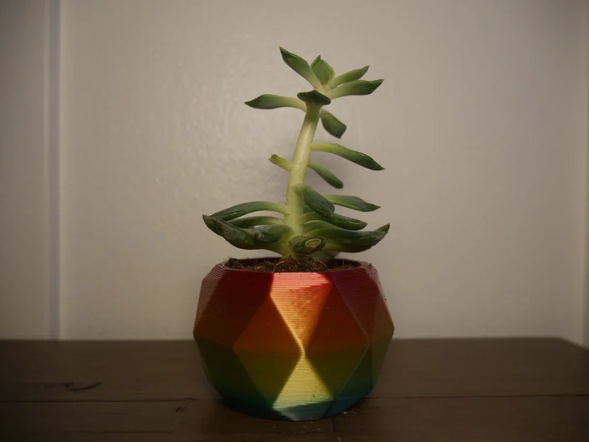 Chậu Succulent (Succulent Pots) – 3 mẫu thiết kế đơn giản - Image 2