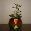 Chậu Succulent (Succulent Pots) – 3 mẫu thiết kế đơn giản - Thumbnail 2