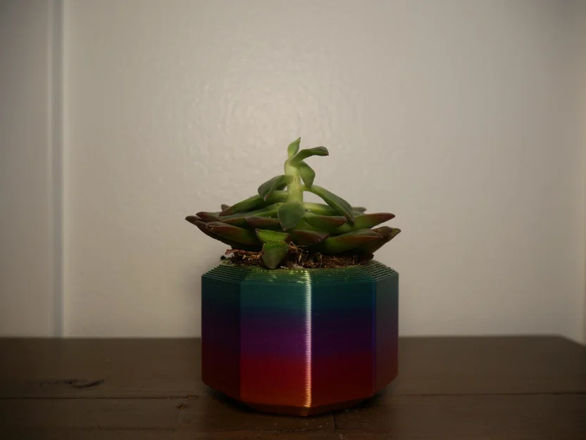 Chậu Succulent (Succulent Pots) – 3 mẫu thiết kế đơn giản - Image 3